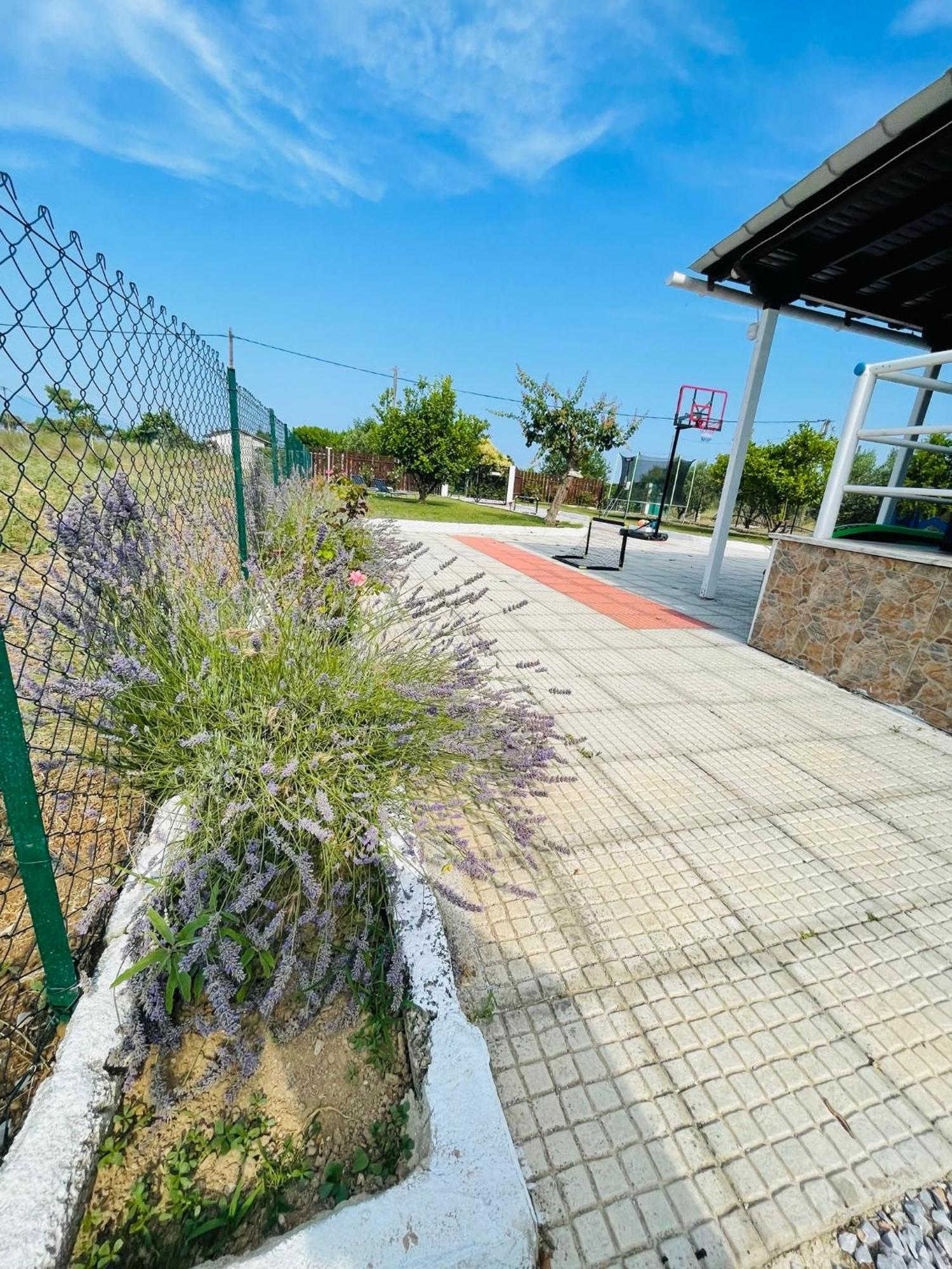 Villa ,,Sea Breeze,, - Home By The Sea Néa Ankhíalos Zewnętrze zdjęcie